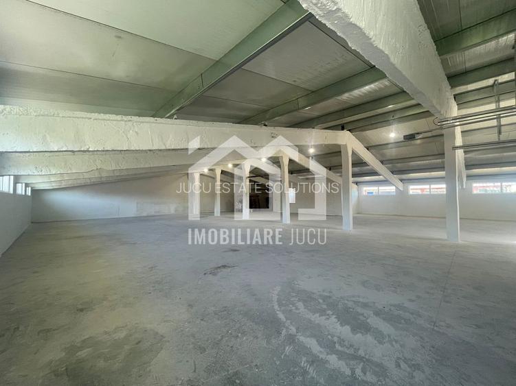 De închiriat: Hală de depozitare și producție în Jucu de Mijloc - 6