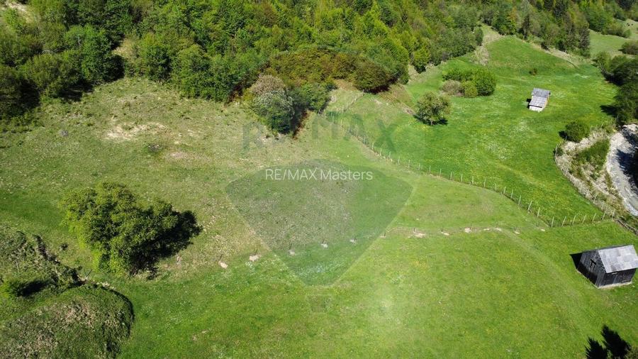 Teren 12,127mp Frasin / Drumul Forestier Valea Seaca - 3