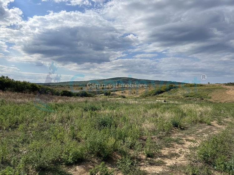 Teren intravilan de vanzare, Cheriu, Bihor - 4