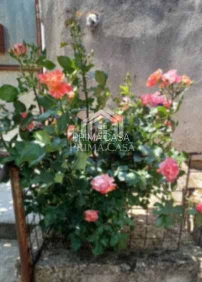 Apartament cu 3 camere zona Pod etaj 2 din 4 confort 1 cu imbunatatiri - 8