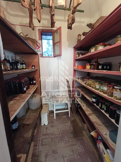 Casa individuala cu teren generos 2158mp, front 12m, livada, Freidorf - 24