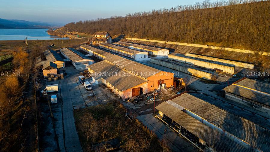 Fosta Ferma a Partidului de la Horgesti - de vanzare - 4