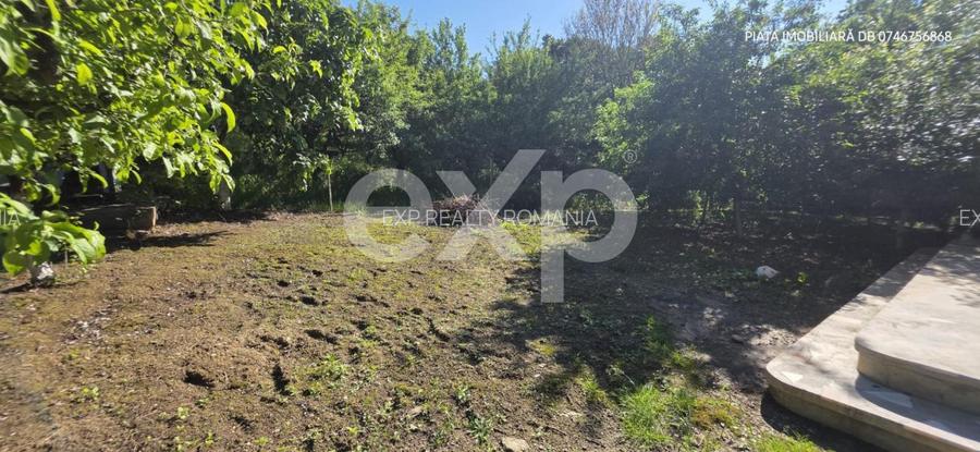 Vilă Individuală Imensă + Casă de Oaspeți și Garaj Dublu | Teren 1.000 mp - 11