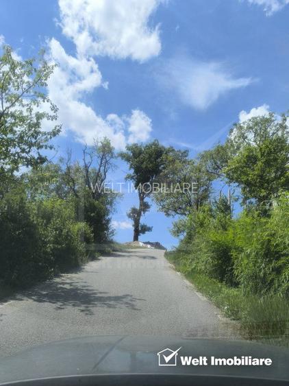 Casa de vacanta, cu lac, 5640 mp teren, Huta, com. Chiuiesti, jud. Cluj - 12