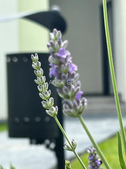 SPATII COMERCIALE/ BIROURI NR.C1-U24 in site nr.14 - 11