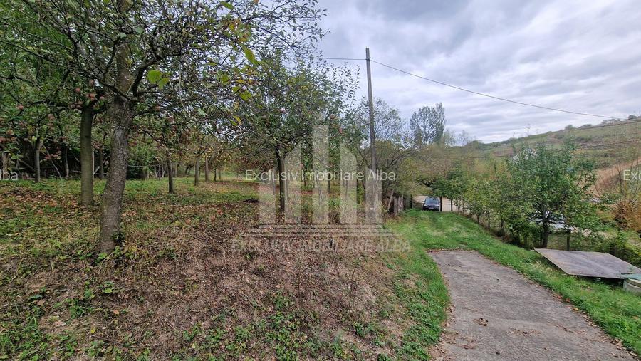 Casa individuala | 120 mp | 1390 mp teren | Livada | Cetea - 13