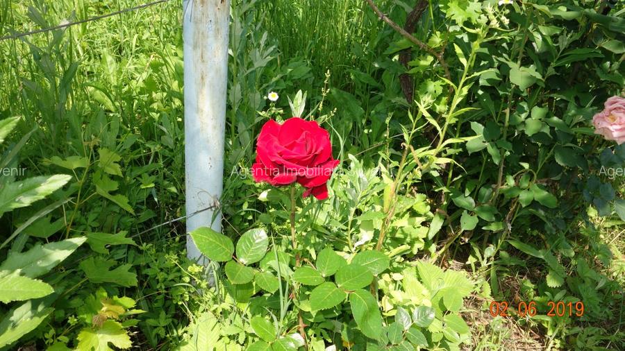 Teren , Cheia, str. Muzeului, 330 mp, 30000 E - 5