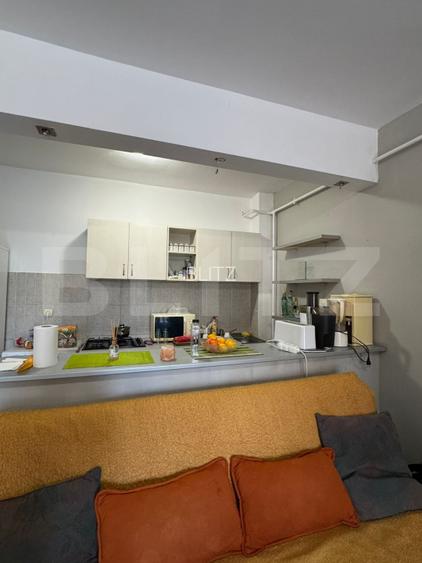 Apartament cu 2 camere, 50mp, decomandat, terasa 18mp, zona Porii - 4