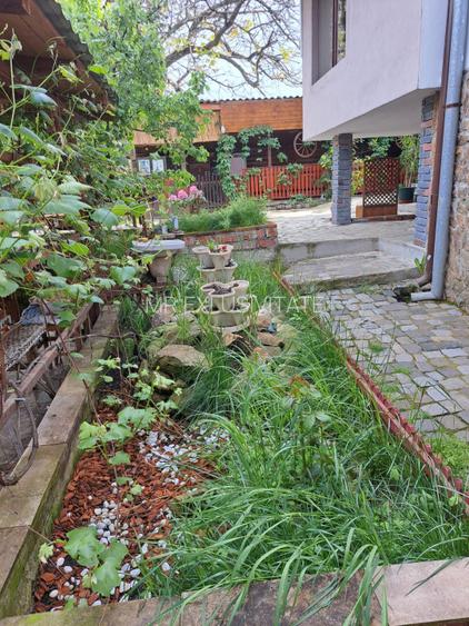 Proprietate de excepție în Lelești – la doar 8 km de Târgu Jiu - 15