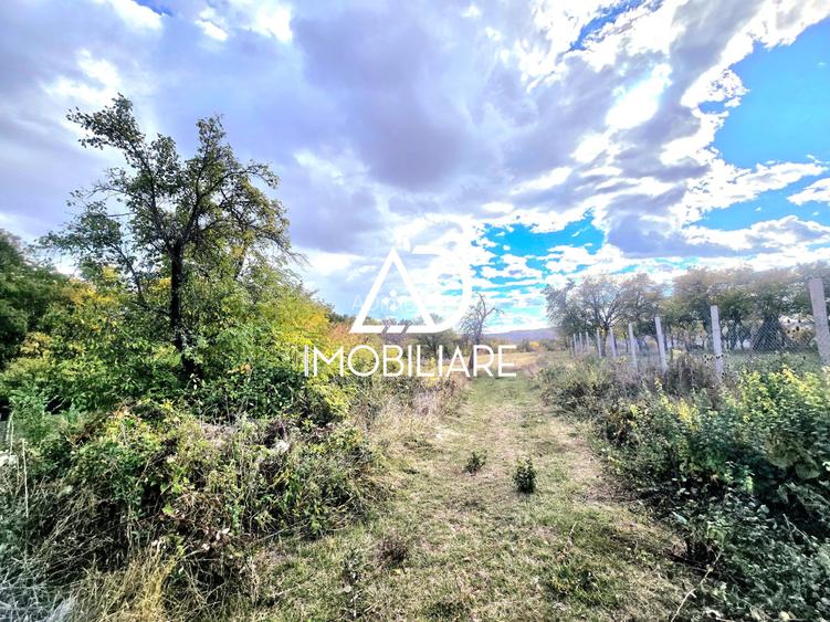 Teren intravilan 2905 mp – comuna Bălănesti jud.Gorj - 5