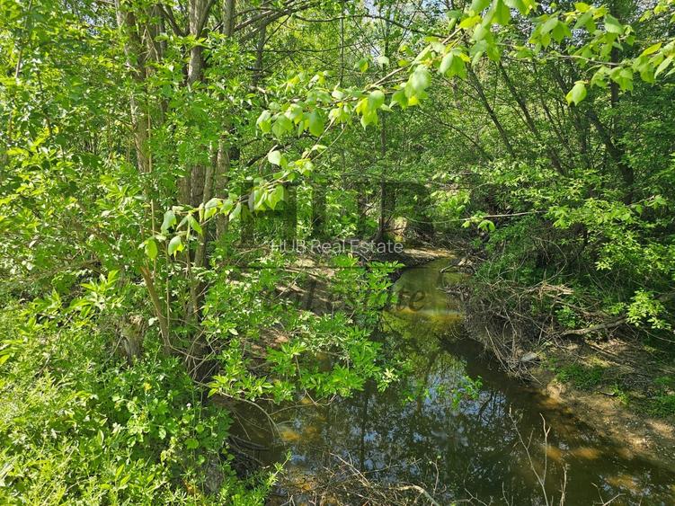 Teren intravilan | langa padure si parau | Luncani/Bacau - 3