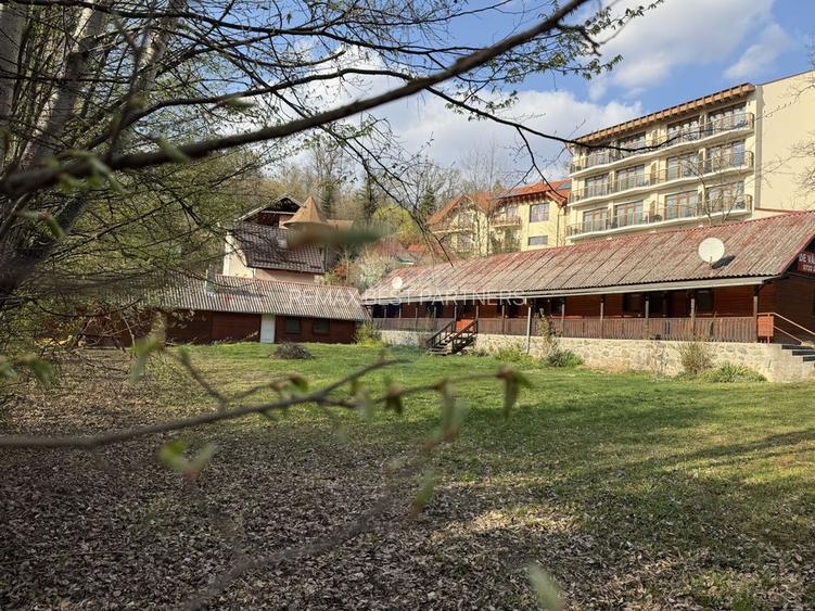 Teren cu potential investitional – Sovata, zona Lacul Ursu - 13