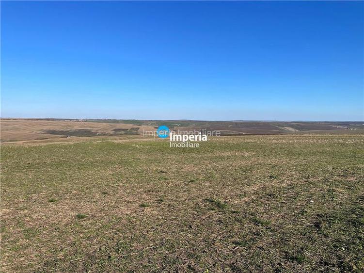 Rediu Horlesti 30000 mp  Soseaua DJ 282 - 4