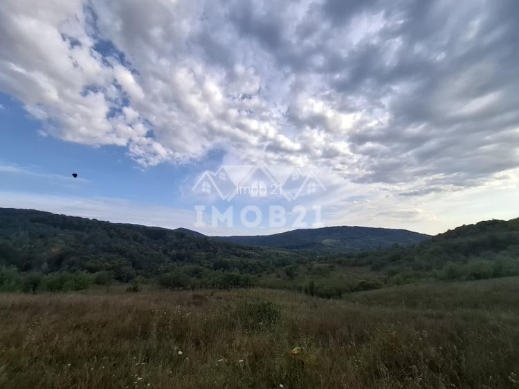 Teren spectaculos cu padure, livada si priveliste panoramica in Soimari PH - 3