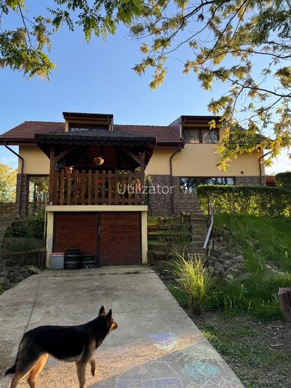 Vand casa in Lugojel  - 2