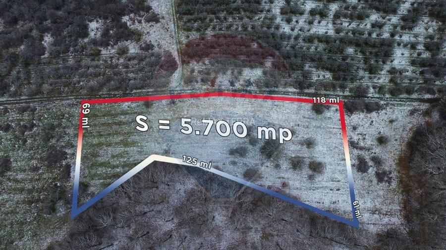 Teren 5,700mp Somcuta Mare / investitie cu potential major - 4