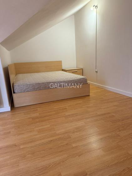 Vilă de închiriat – Herăstrău / Expoziției (Str. Parcului) - 7