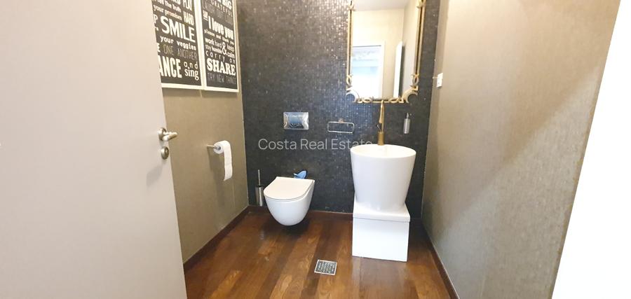 Inchiriere vila moderna Iancu Nicolae - 34