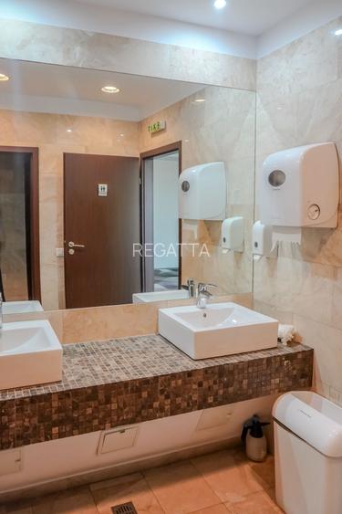 Birouri Piata Charles Gaulles, 301 mp, terasa 100mp, vedere Parcul Herastrau - 7