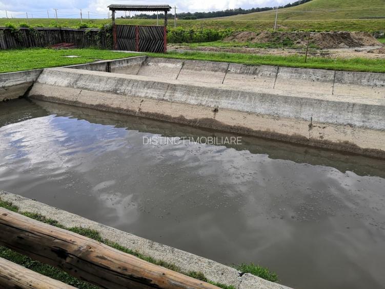Pensiune agroturistica, pastravarie, 25 km de Brasov -proprietate speciala - 20