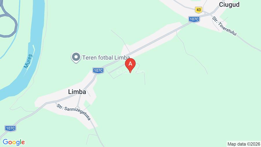 vand casa in limba ciugud - 6