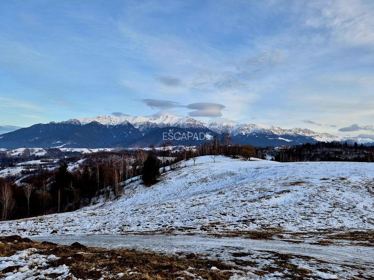 Teren cu priveliste deosebita /muntii Bucegi,in sat Pestera/Moeciu zona La Odai - 8