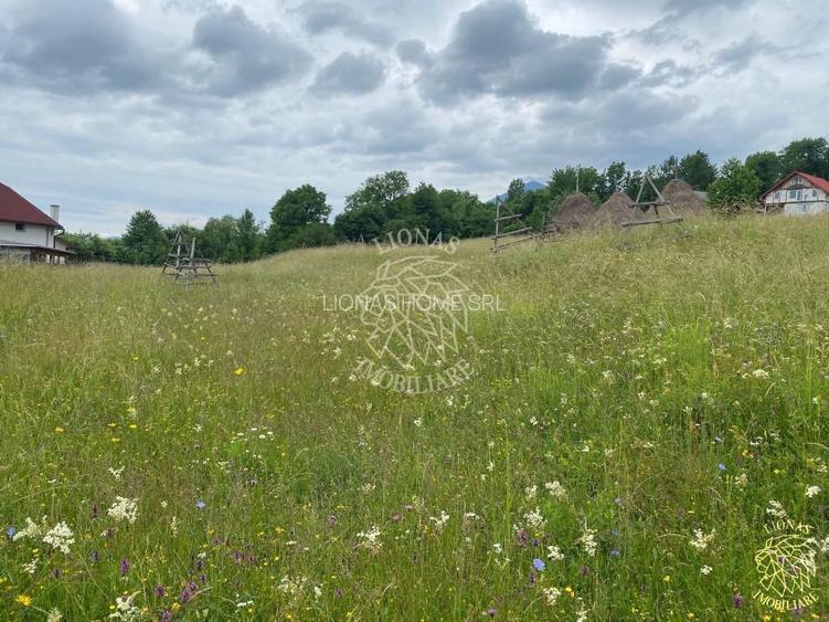 Teren Intravilan 3093 mp-ideal case/cabane/pensiune-Bistrita Bargaului - 6