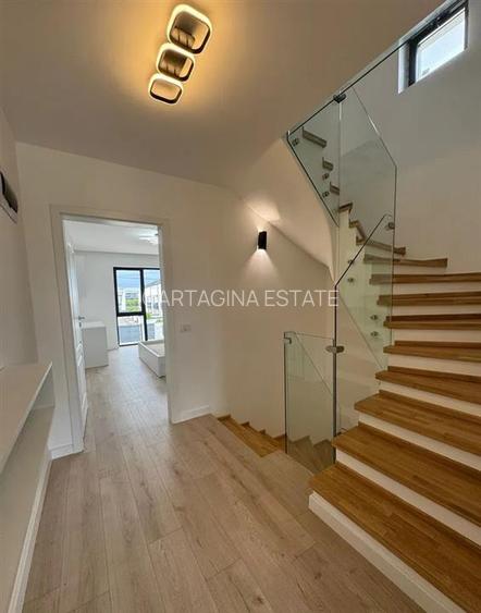 VILE CUPLATE  P+2   MATEI MILLO   2025 - 7