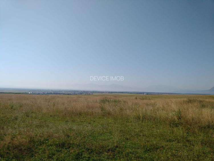 Pasune de vanzare - 2