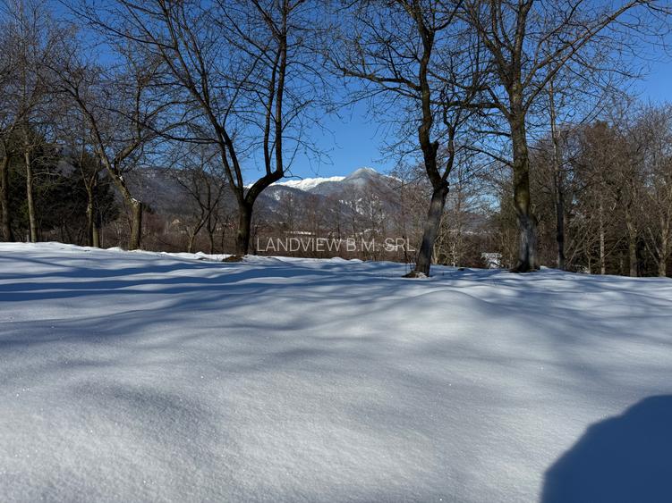 Teren intravilan 763 mp in zona Bran-Tohanita,judetul Brasov - 2