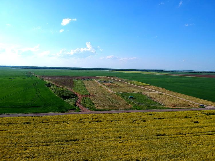 Teren intravilan PUZ zona Frumusani - aproape de Bucuresti si A0. Natura.Liniste