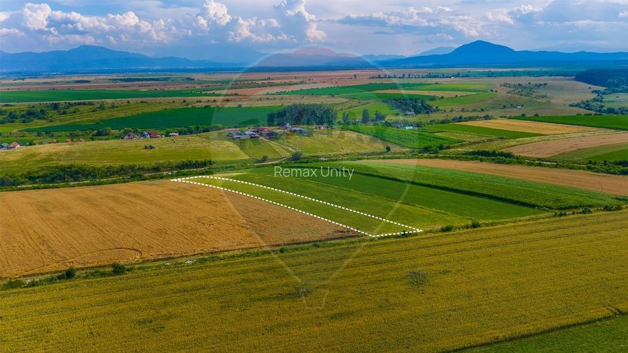 Oportunitate pentru fermieri: 10.800 mp teren arabil în Rotbav, Brașov - 8