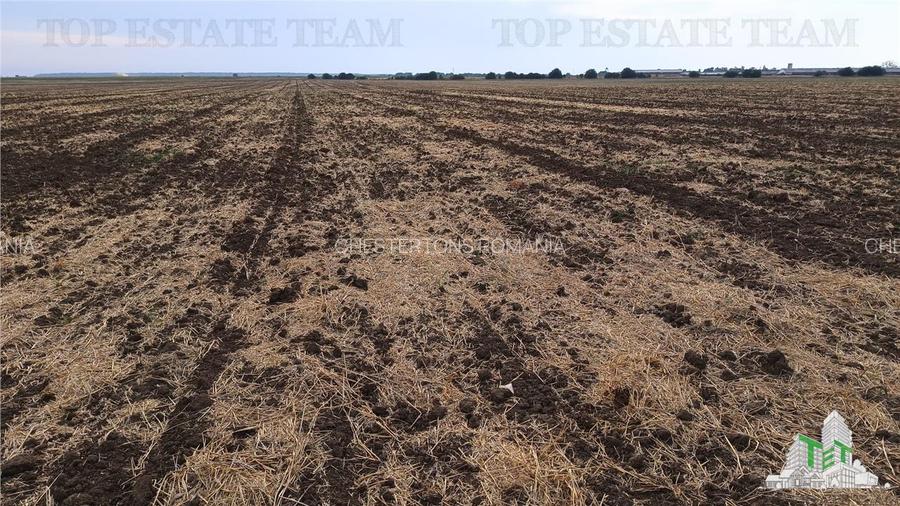 Oferim spre vanzare 6 loturi de teren extravilan (agricol) in Petrachioaia ILFOV - 11