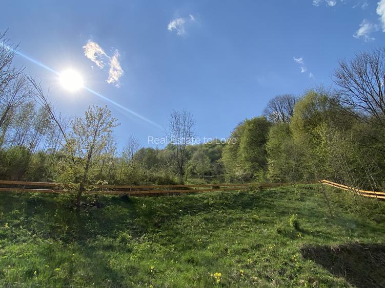 Teren vedere panoramică lac Paltinu si dealuri împădurite in Valea Doftanei - 15