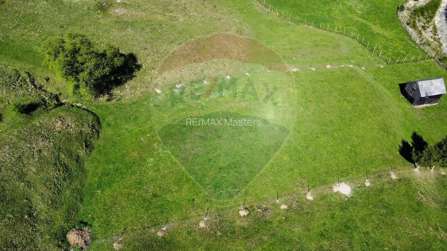 Teren 12,127mp Frasin / Drumul Forestier Valea Seacă - 4