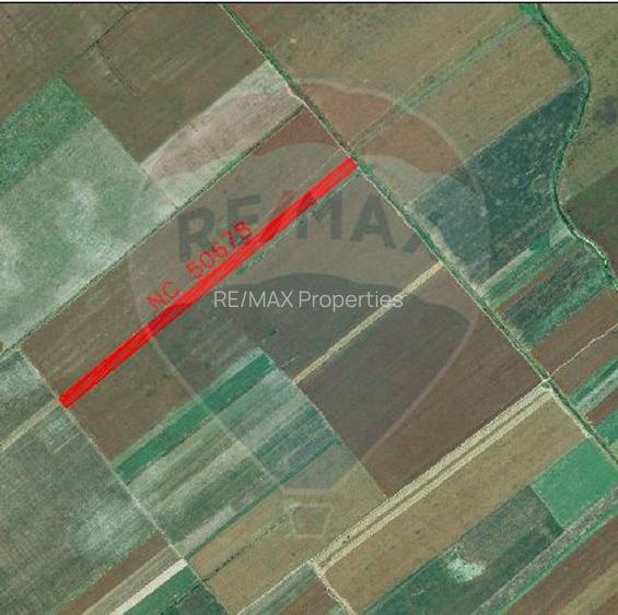 Teren 22,269mp Nuci / Strada principala - 4