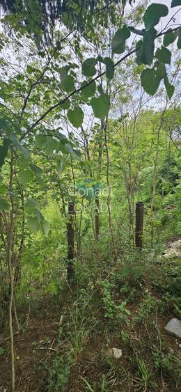 Teren Breaza  800mp pe colina priveliste superba - 17