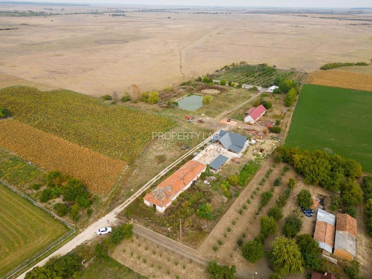 Teren intravilan cu iazuri și casă - Chișineu-Criș - 18