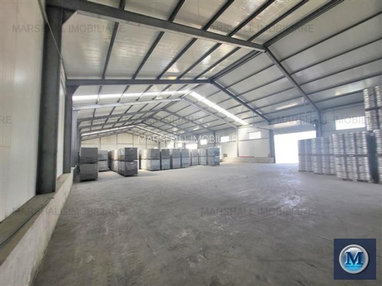 Spatiu industrial de inchiriat, zona Exterior Vest, 1500 mp #16483 - 3