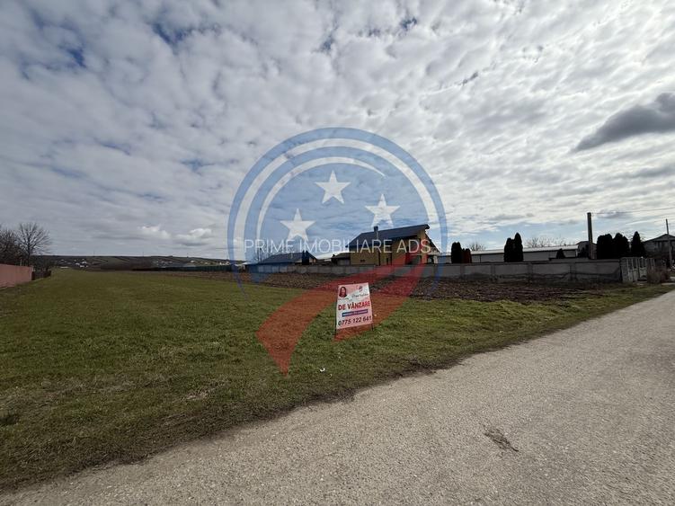 Teren de vanzare/Dudovicesti/Dolj - 3