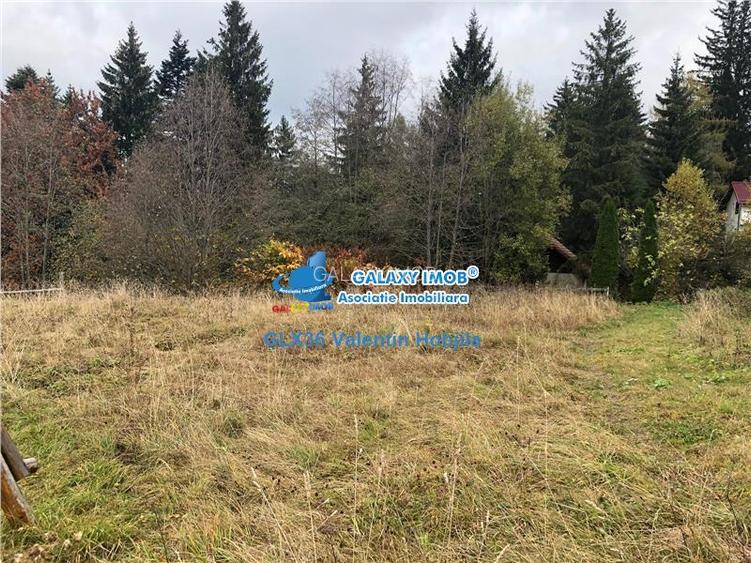 Vanzare teren 850 mp Predeal Cioplea - Belvedere - 6