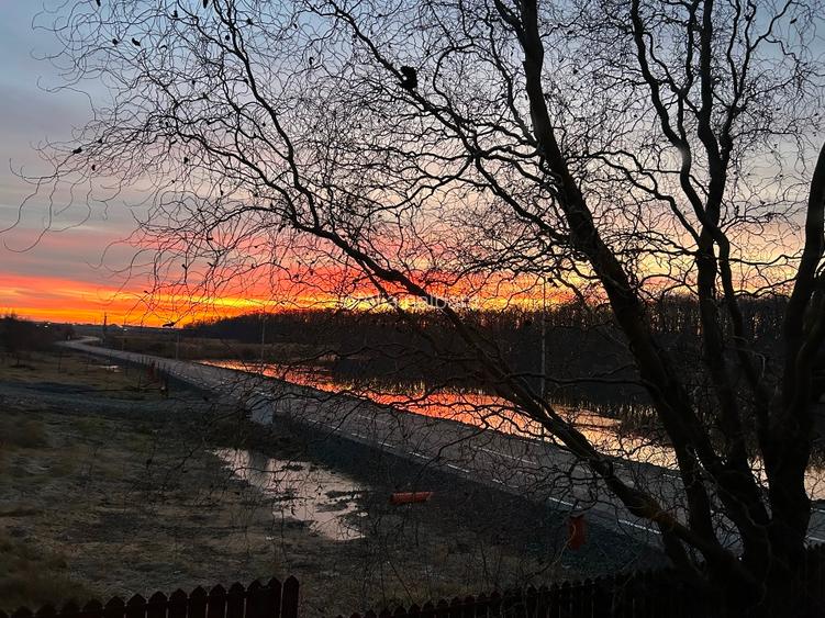 Casa din Padure  - 11