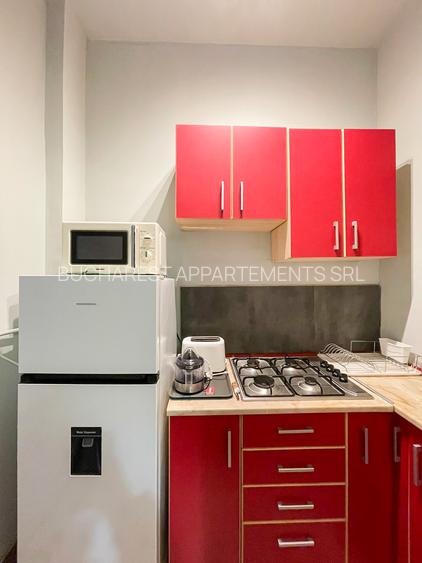 Apartament 2 camere in zona Universitatii / Centru Vechi - 14