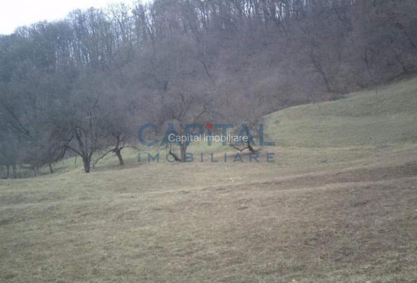 Teren intravilan jud. Mures - 5