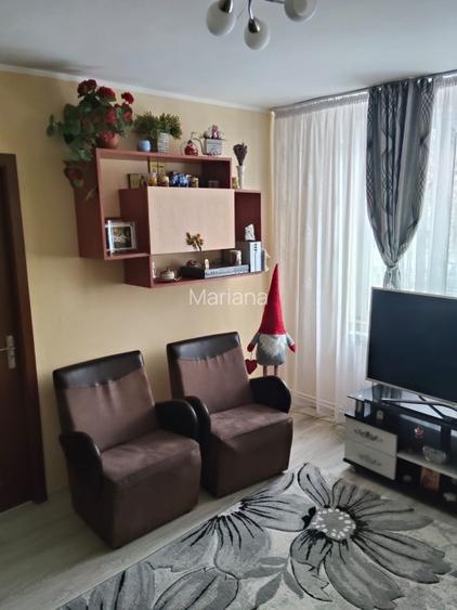 Apartment 2 camere semidecomandat micro 19 - 8