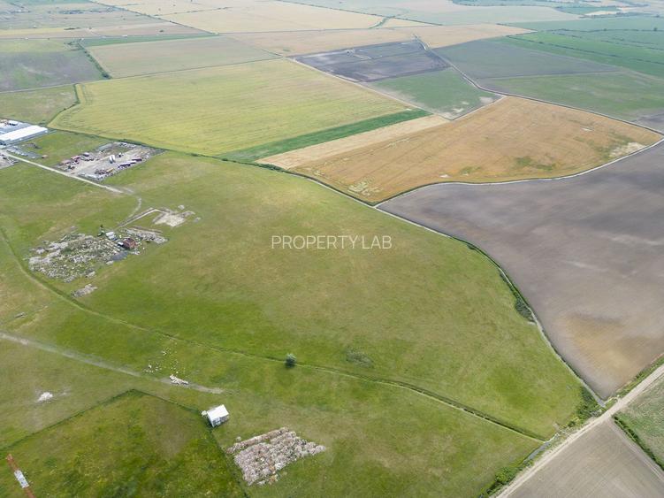 Teren intravilan de 26,606mp Sacalaz - 20