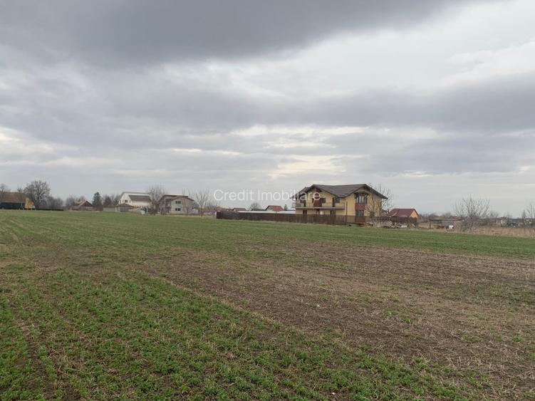 Teren de vanzare Stupini - 5