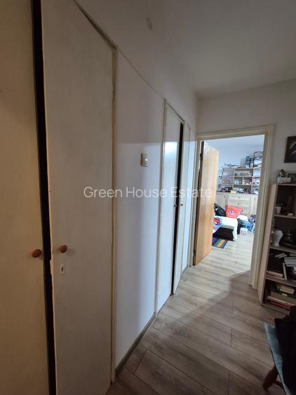 Constantin Brâncuși - 8