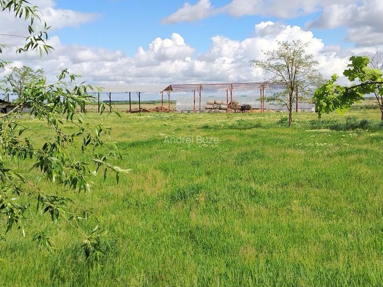 Lac de agrement pentru pescuit – Proprietate completă, 8,1 ha | De vânzare - 10