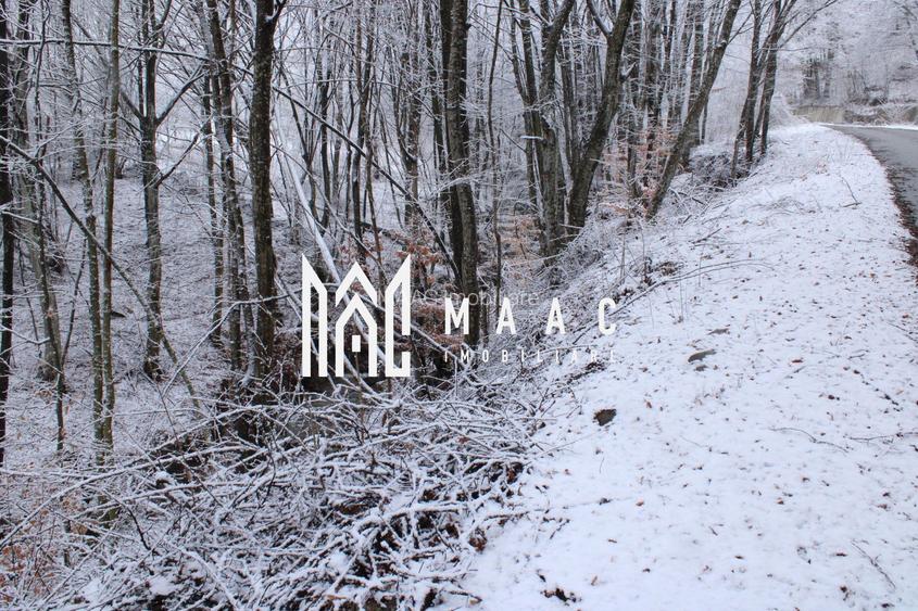 Teren cu izvor de apă minerală  Dangești, Punctul Valea Mare - 21